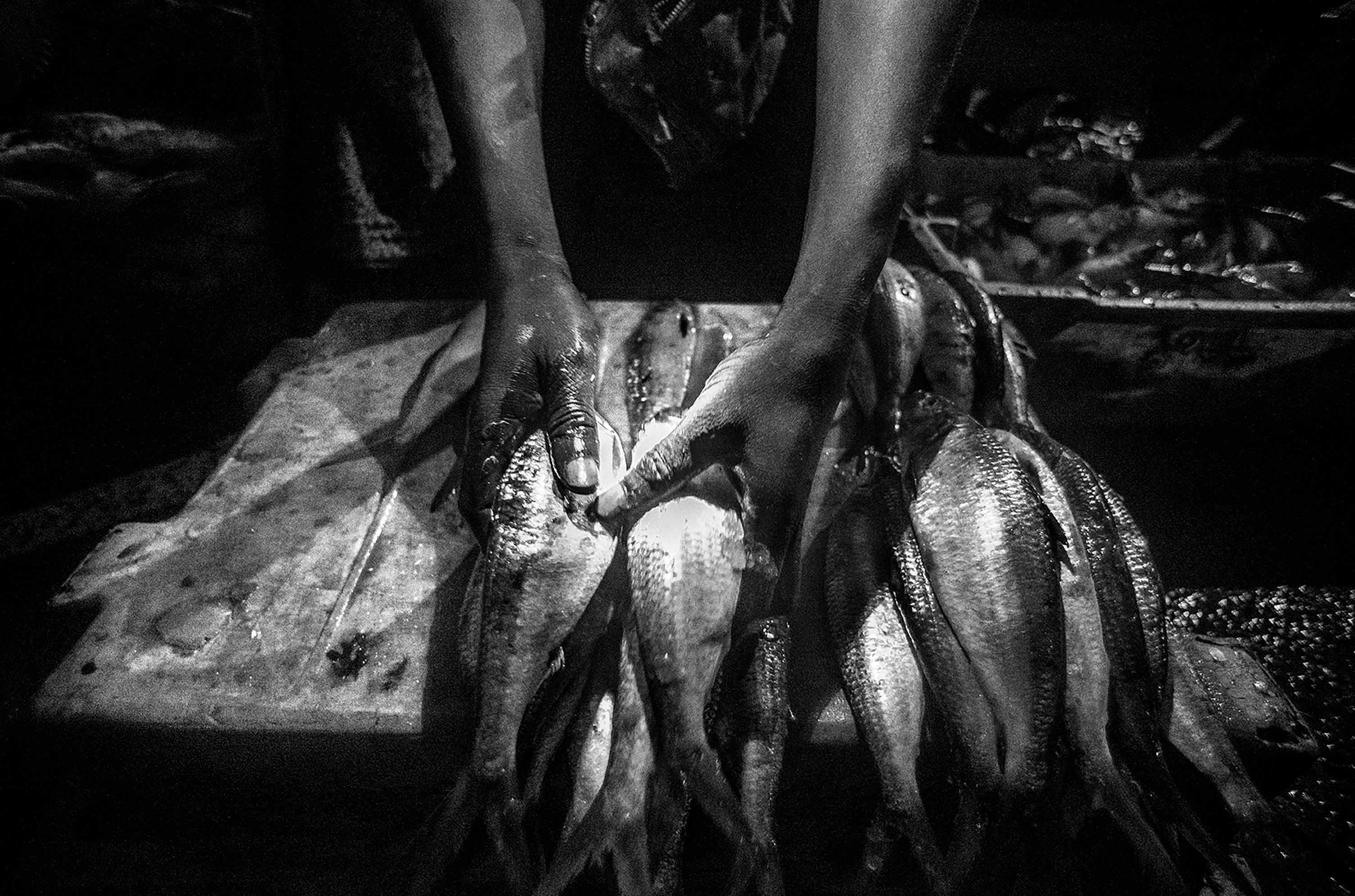 © Pierre Vanneste – "Dremmwel"