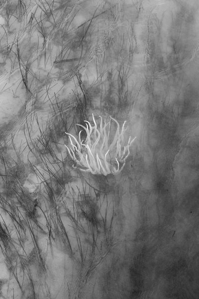 Rétrospective du festival BZH PHOTO à Paris, en partenariat avec Dahinden.