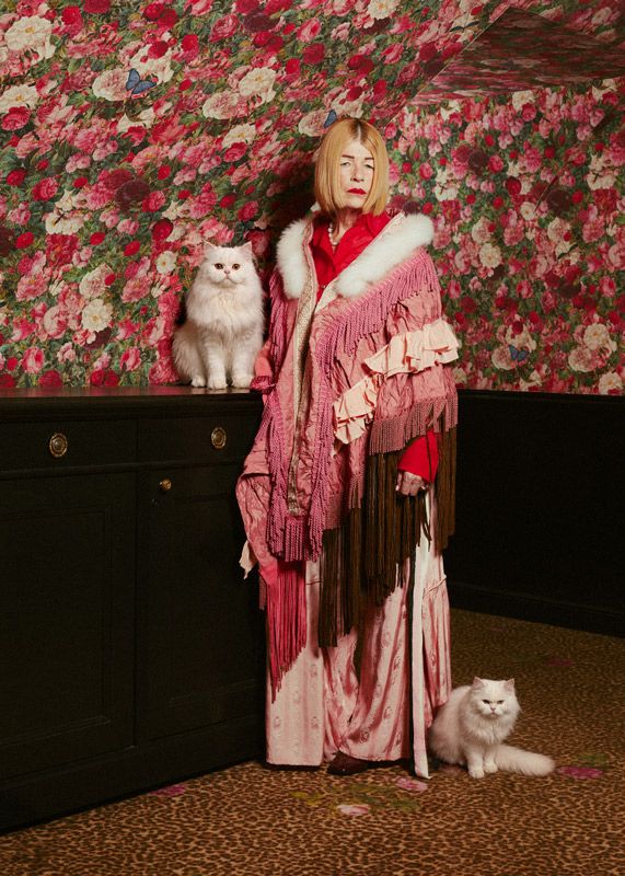"Childless Cat Ladies" - © Lisa Miquet