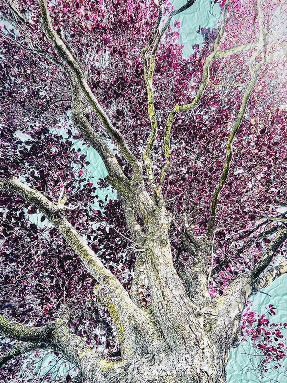 La photographe Sophie Le Gendre exposera durant l'UNSEEN de Rotterdam du 27 au 29 mars.