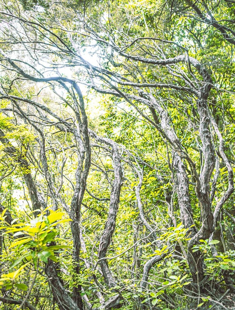 Exposition de Sophie Le Gendre au salon A ppr oc he