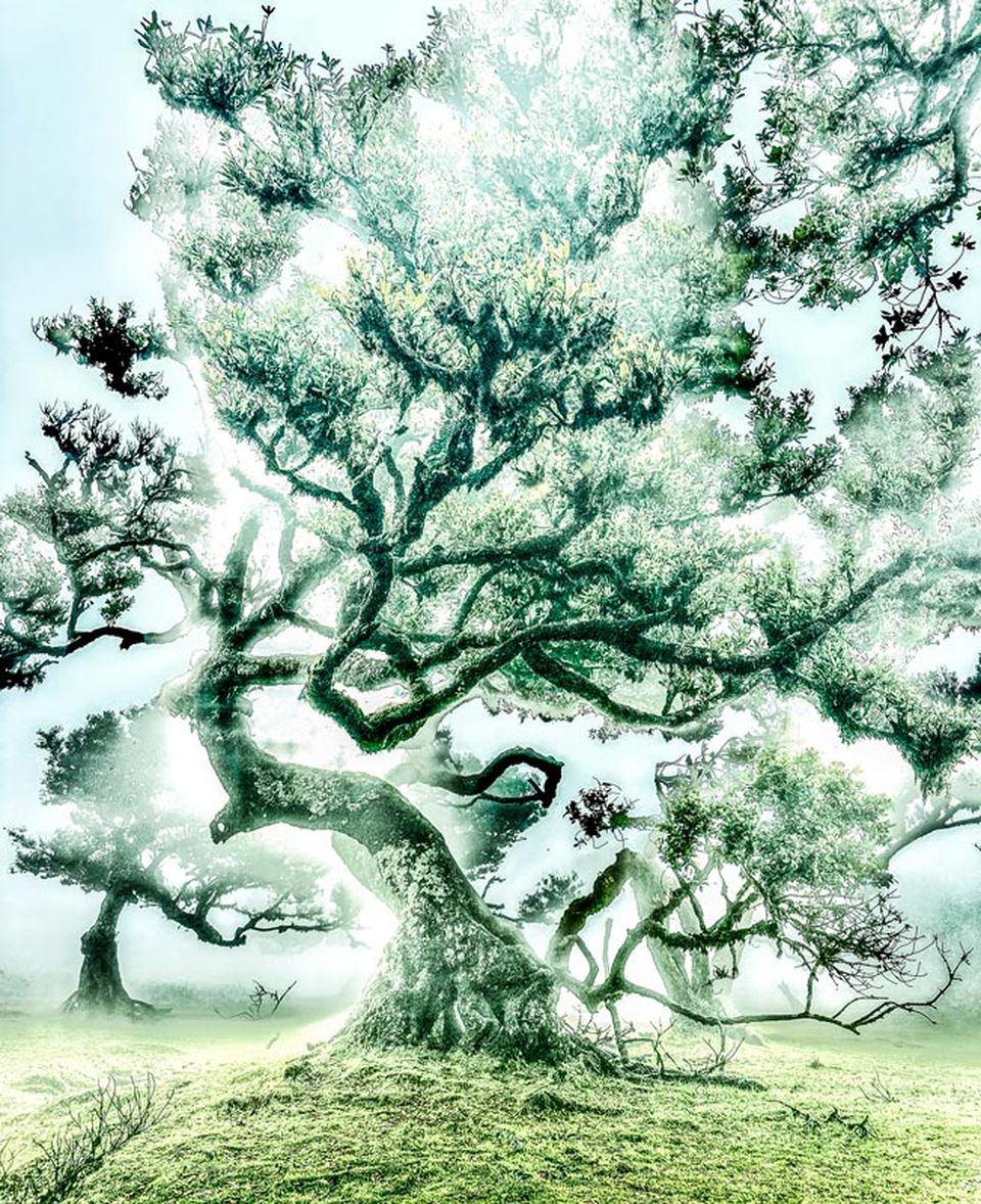 Exposition de Sophie Le Gendre au salon A ppr oc he