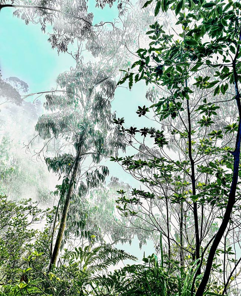 Exposition de Sophie Le Gendre au salon A ppr oc he