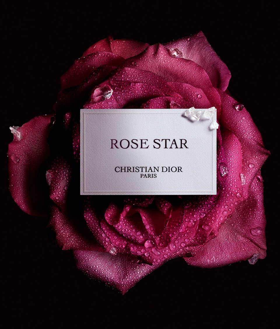 Dior, La Collection Privée, Rose Star, nouvelle fragrance 2025 - postproduction Dahinden