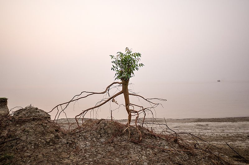 Photographie de Daesung Lee - prix du public de la première édition d'Une autre empreinte - prix photo Dahinden