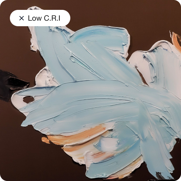 Light Color Rendering Art Gallery Lighting - by Banno Lighting™