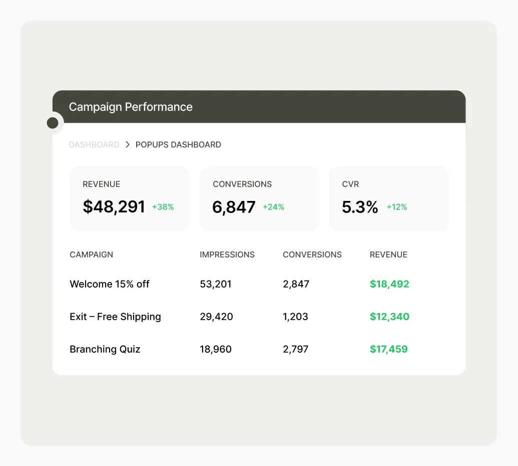 Dashboard showing campaign performance metrics: revenue $48,291, impressions 6,847, CVR 5.3%, with details for three campaigns.