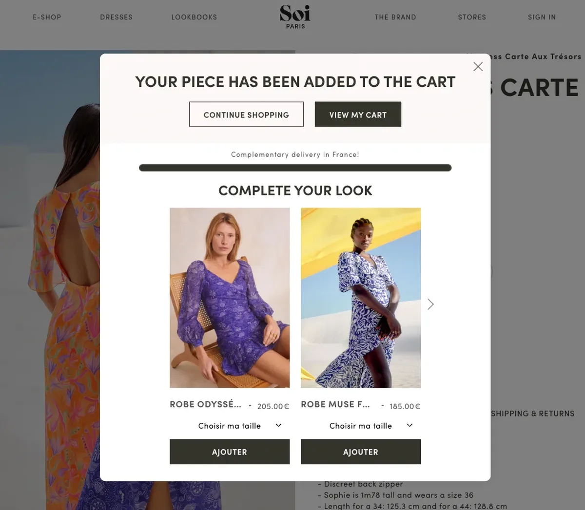 Complete your look cart popup with complementary products
