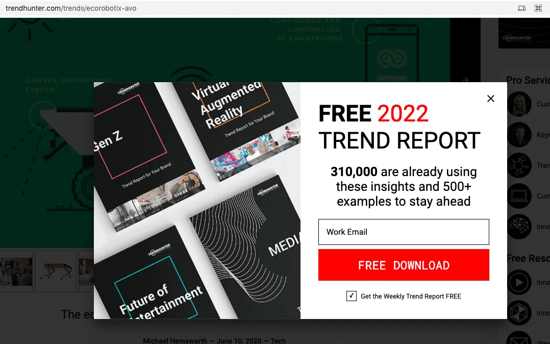 Free report lead magnet