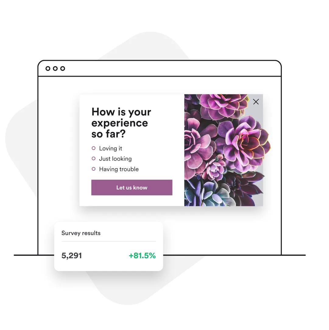 WooCommerce Popup Surveys