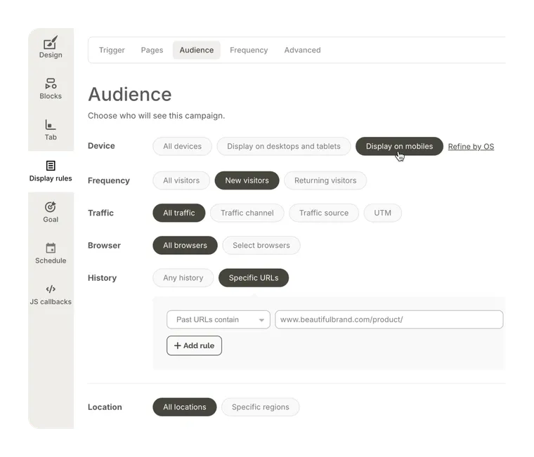 Campaign targeting rules in Wisepops