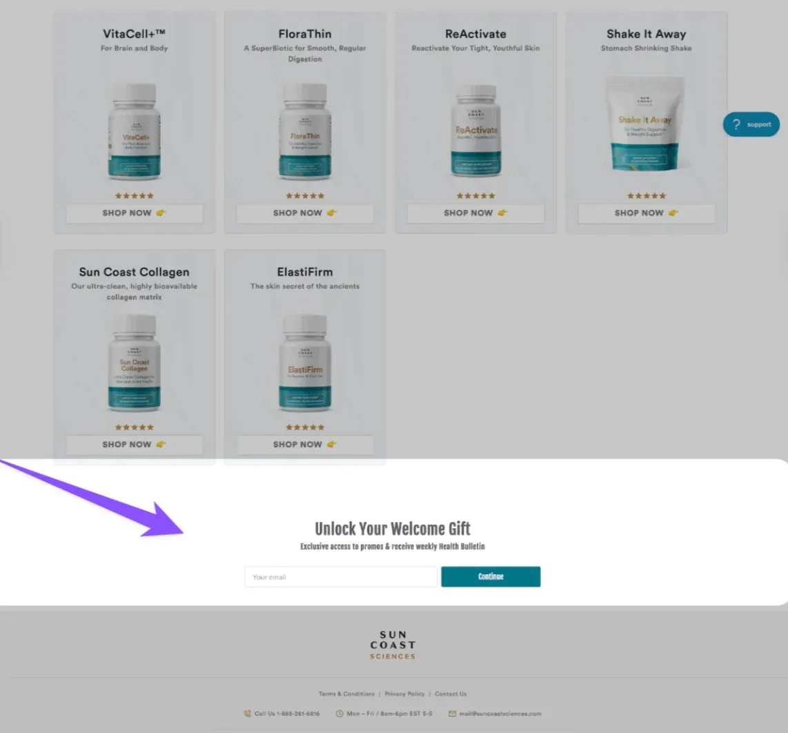 embed example