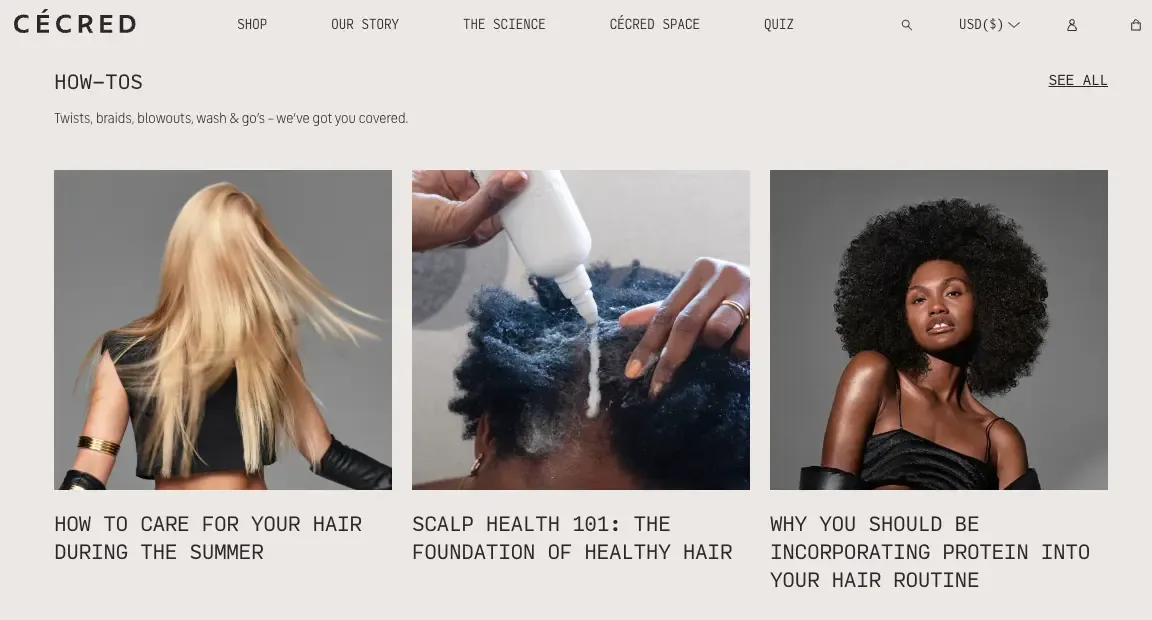 shopify blog example