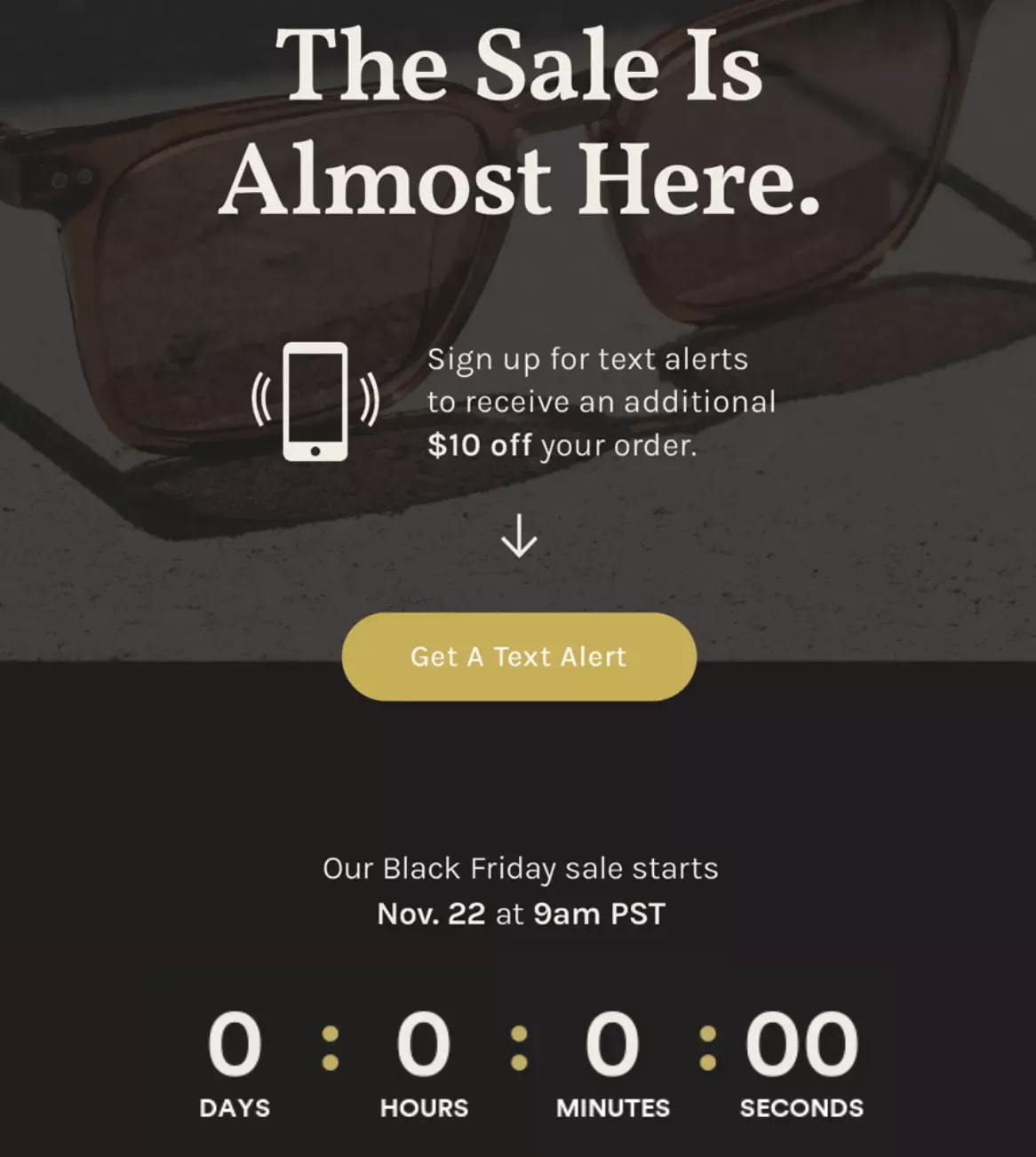 black friday sale email