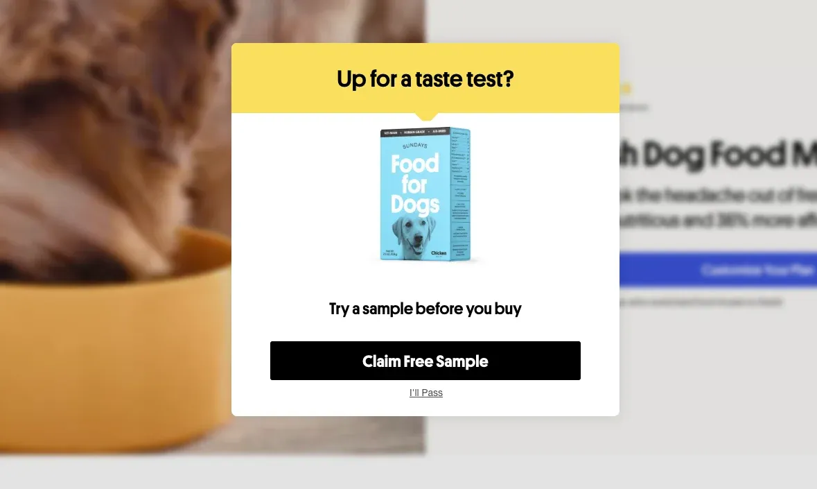free sample popup window example