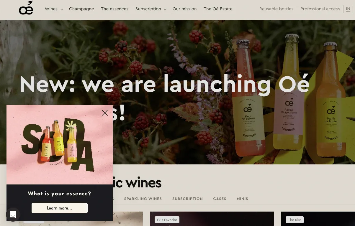 what is your essence product line launch campaign