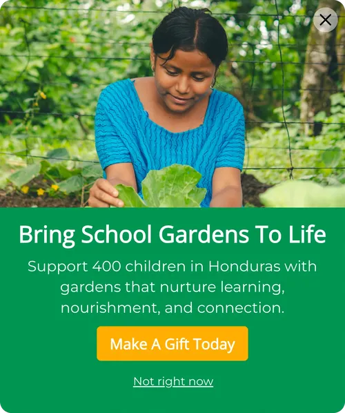 Fabretto.org popup — Bring School Gardens To Life, school gardens campaign for students in Honduras