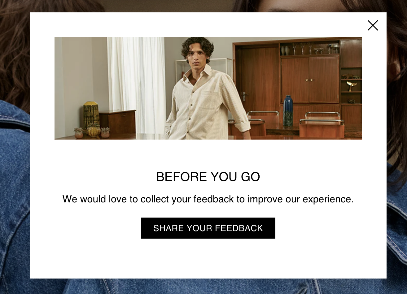 exit popup example survey