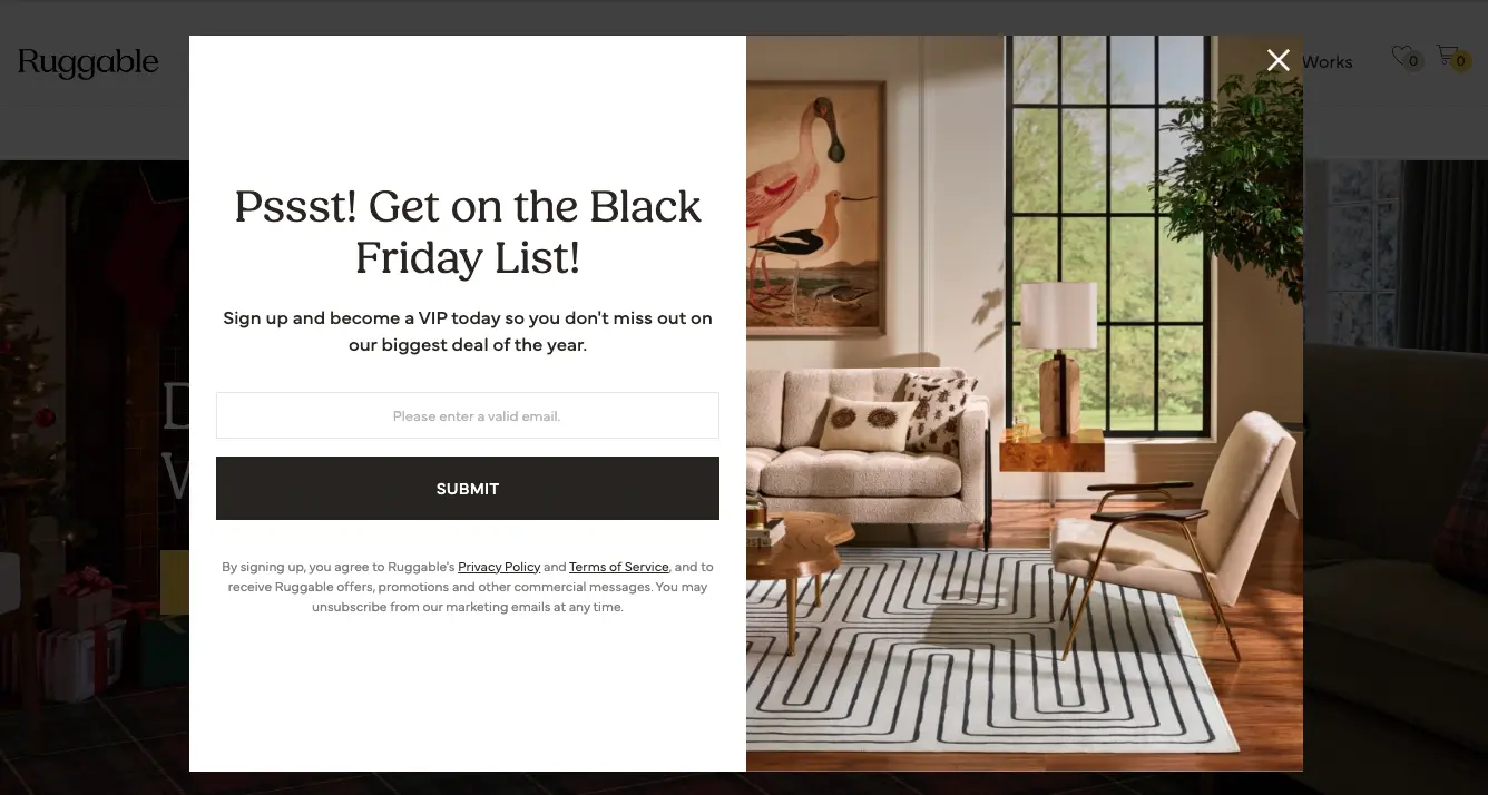 black friday popup