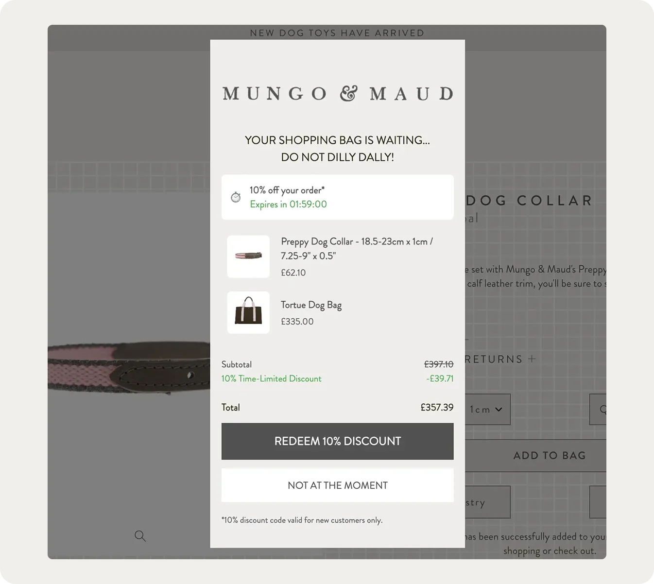 AI cart recovery message showing the cart contents and a selected offer