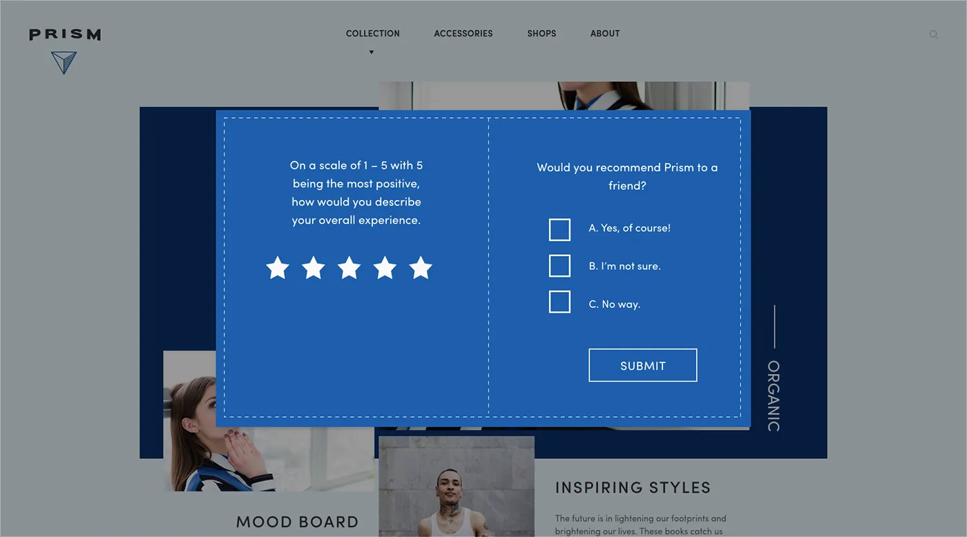 An example of customer satisfaction survey