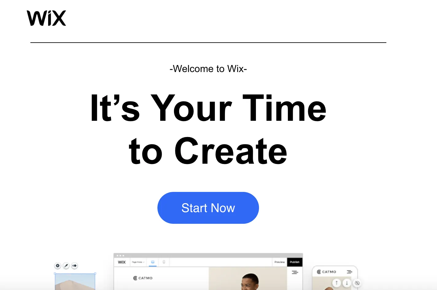 wix website