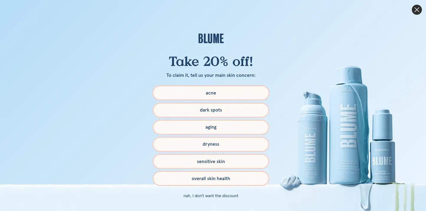 full screen popup example blume