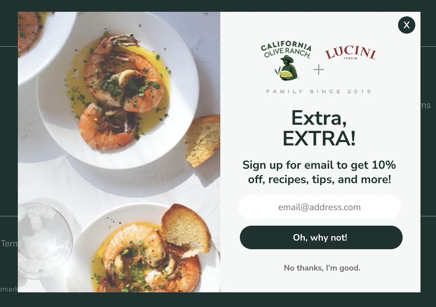 discount for newsletter signup popup