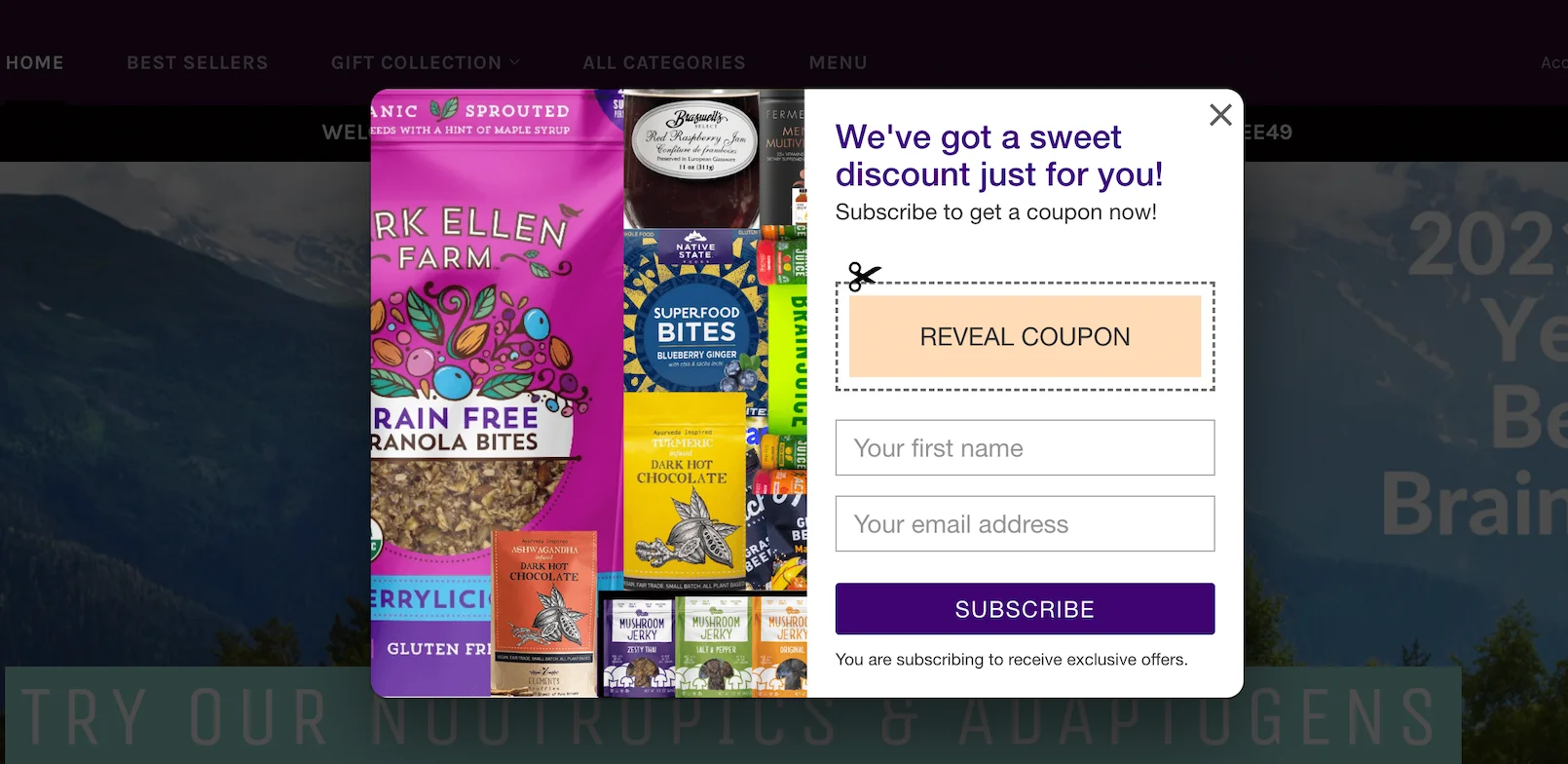 website popup with coupon