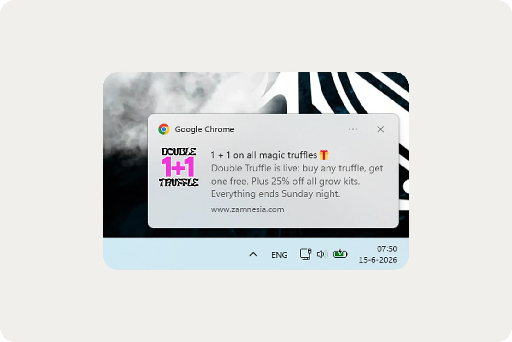 Zamnesia web push opt-in