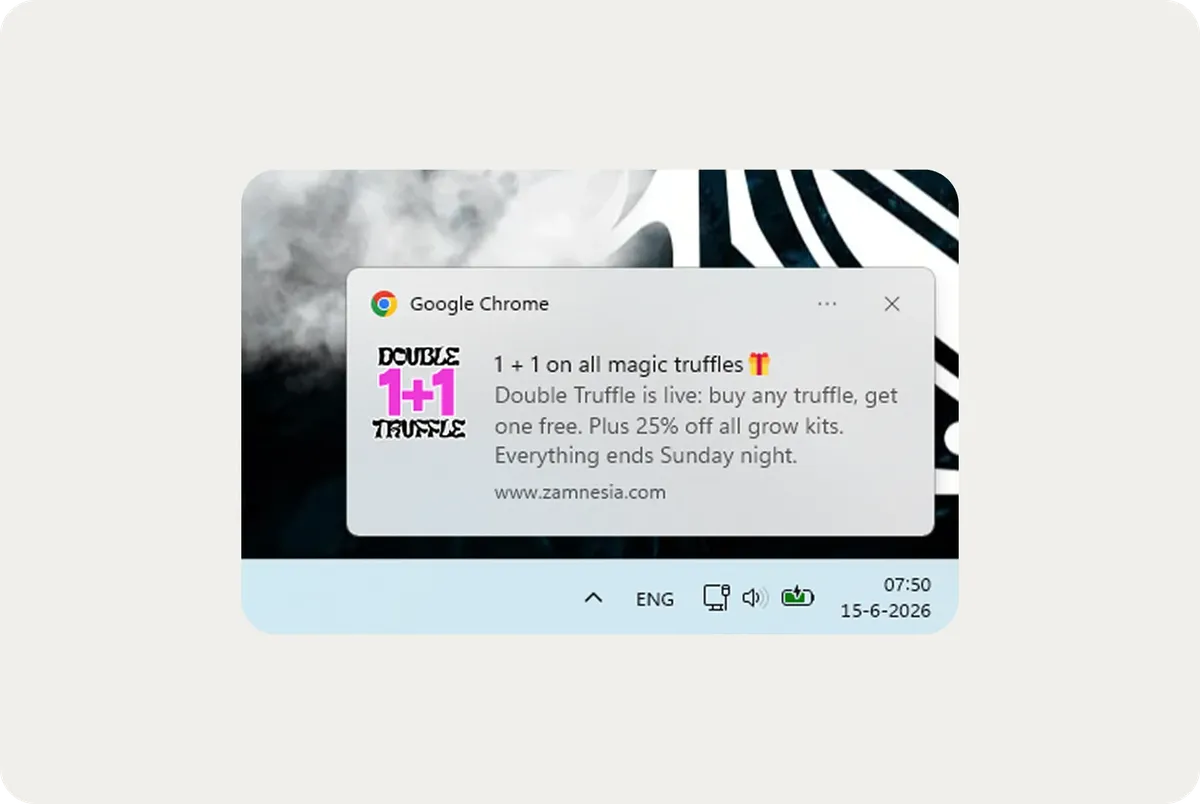 A web push notification sent to a visitor after they left the site