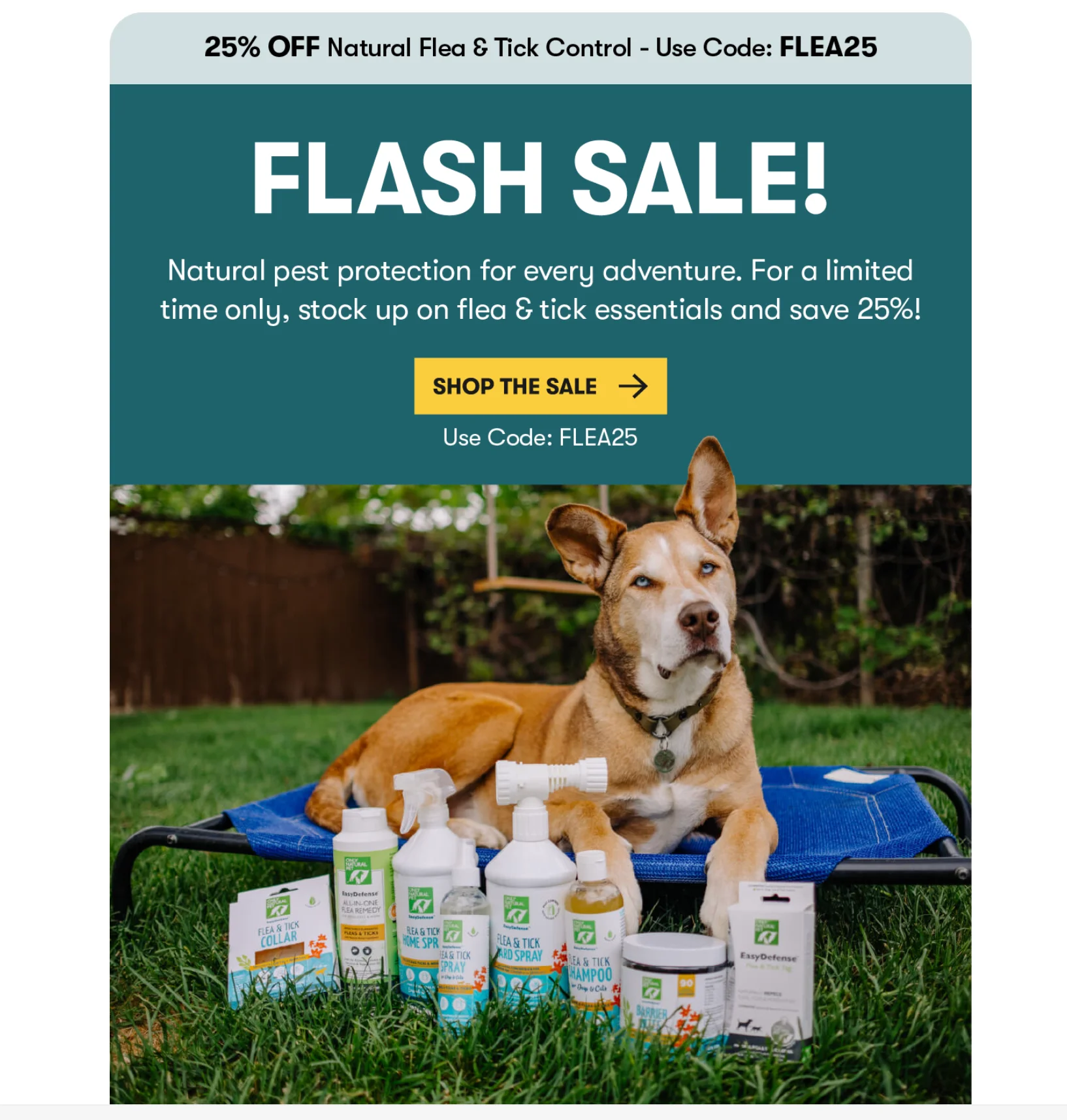 Ecommerce sales promotion example