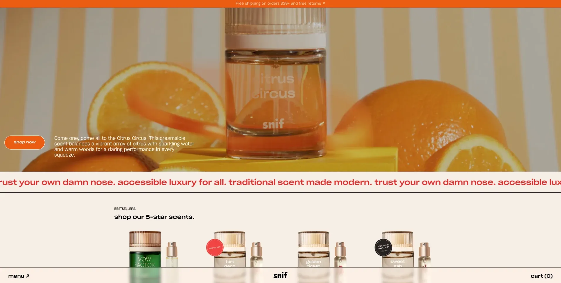 ecommerce website design snif