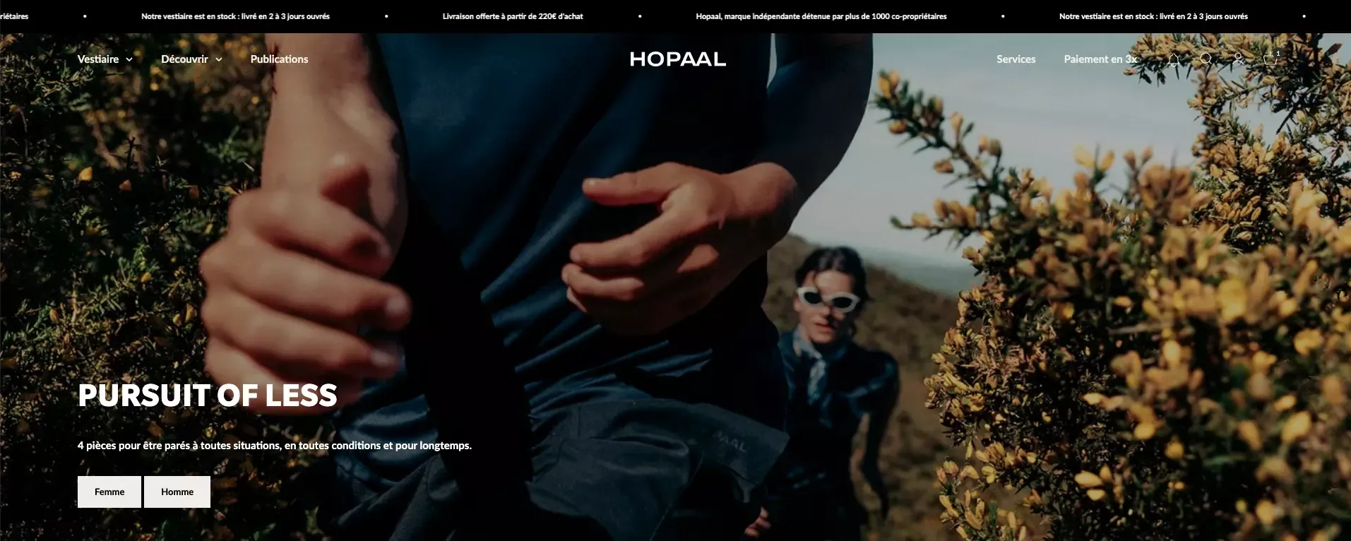 hopaal website design store