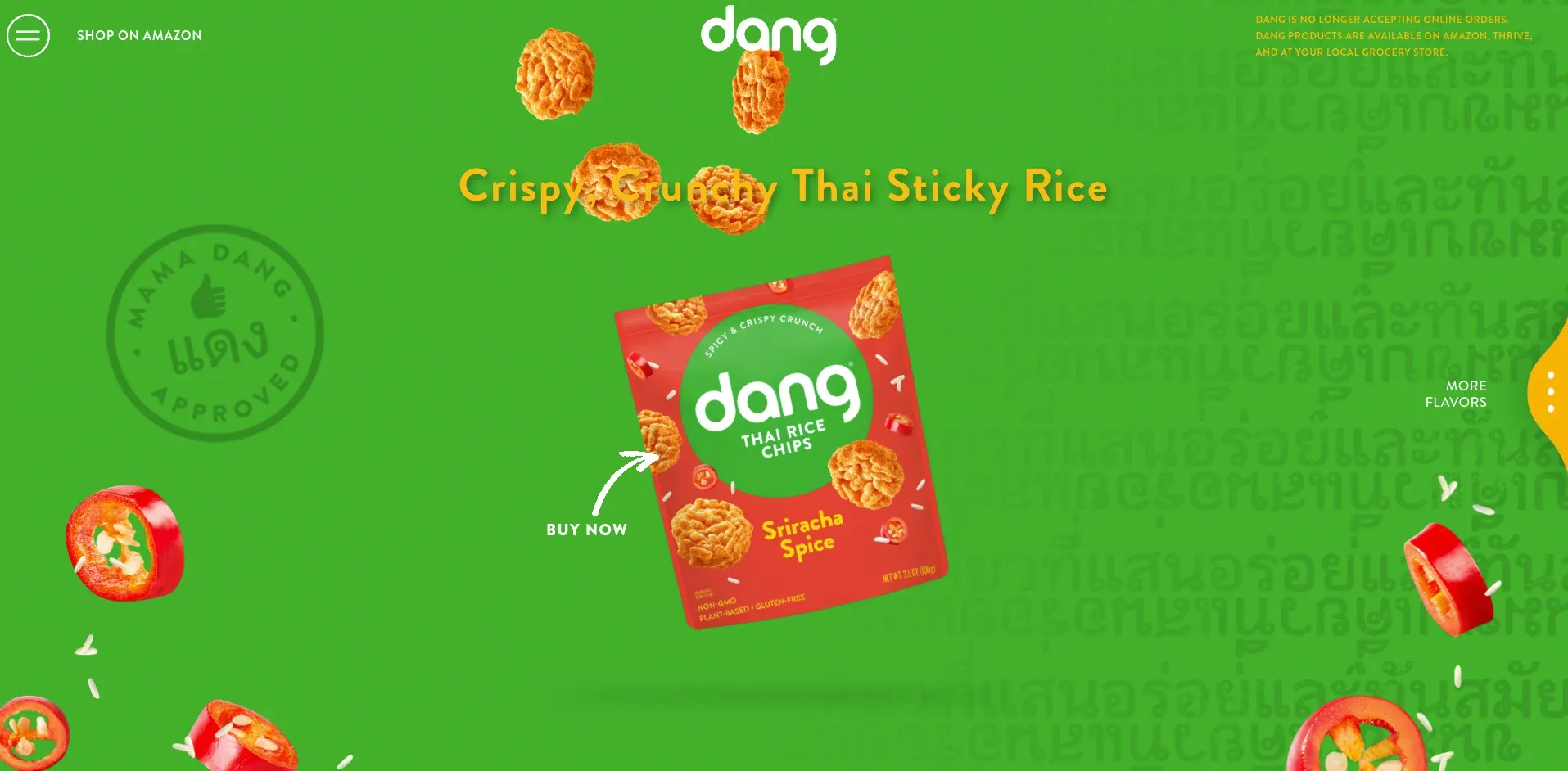 example of ecommerce website design dang