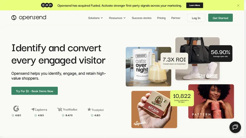 Opensend visitor identification page