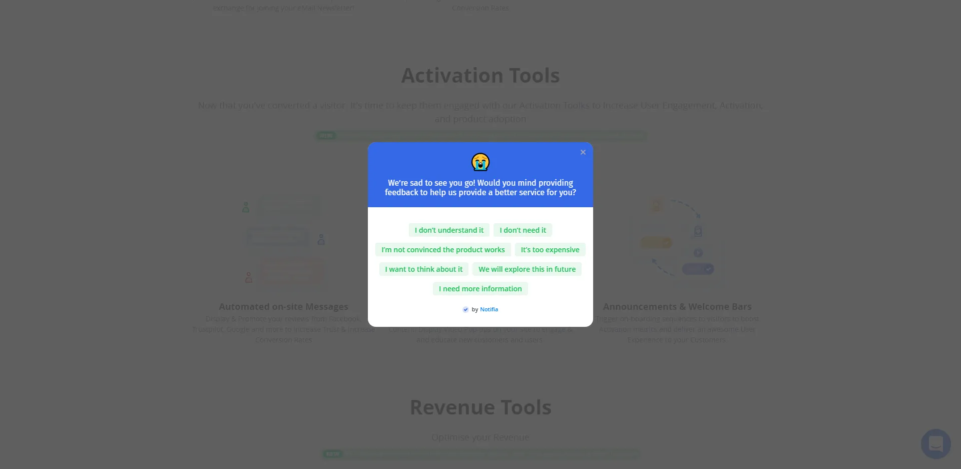 Website exit survey example