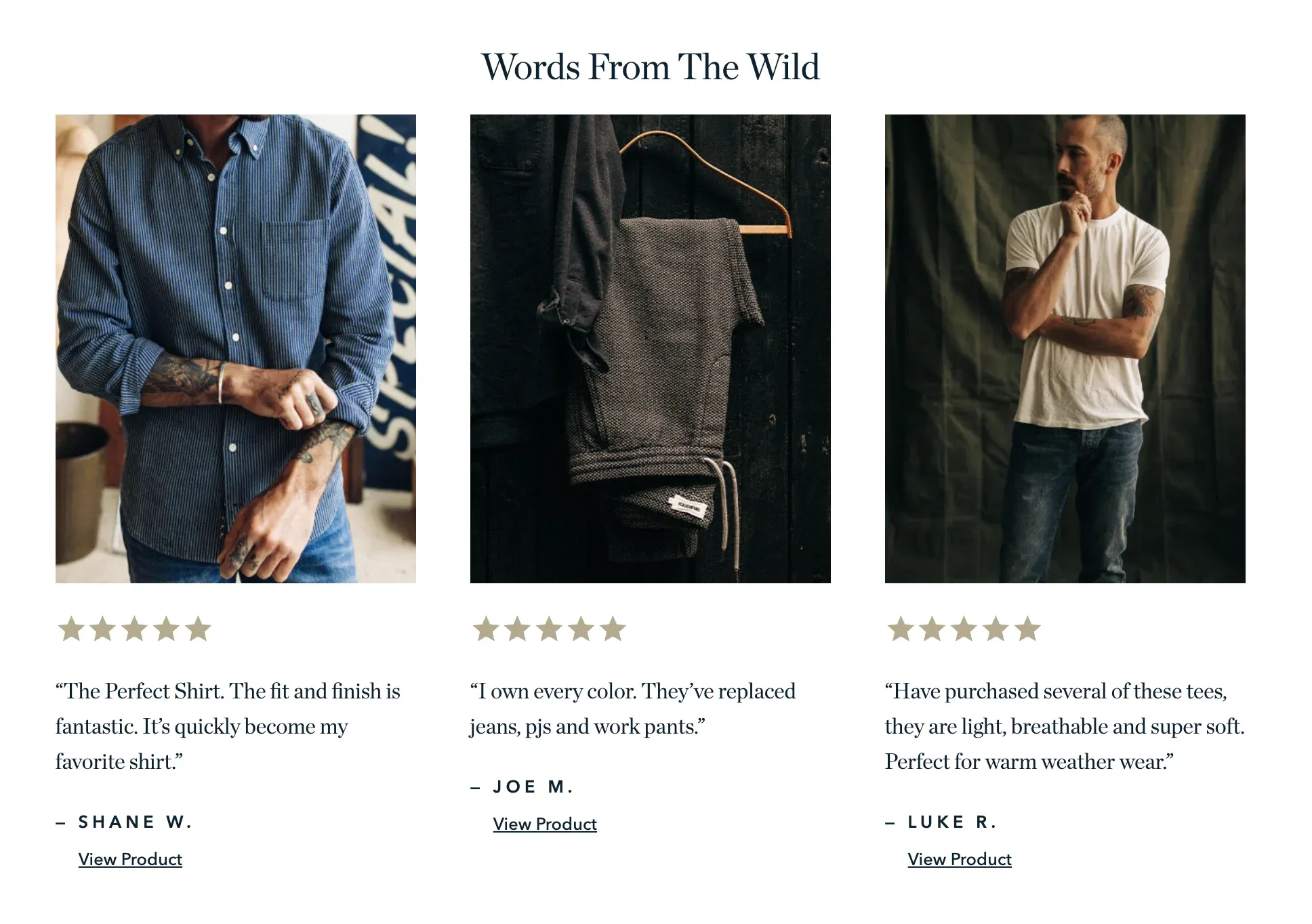 product reviews example