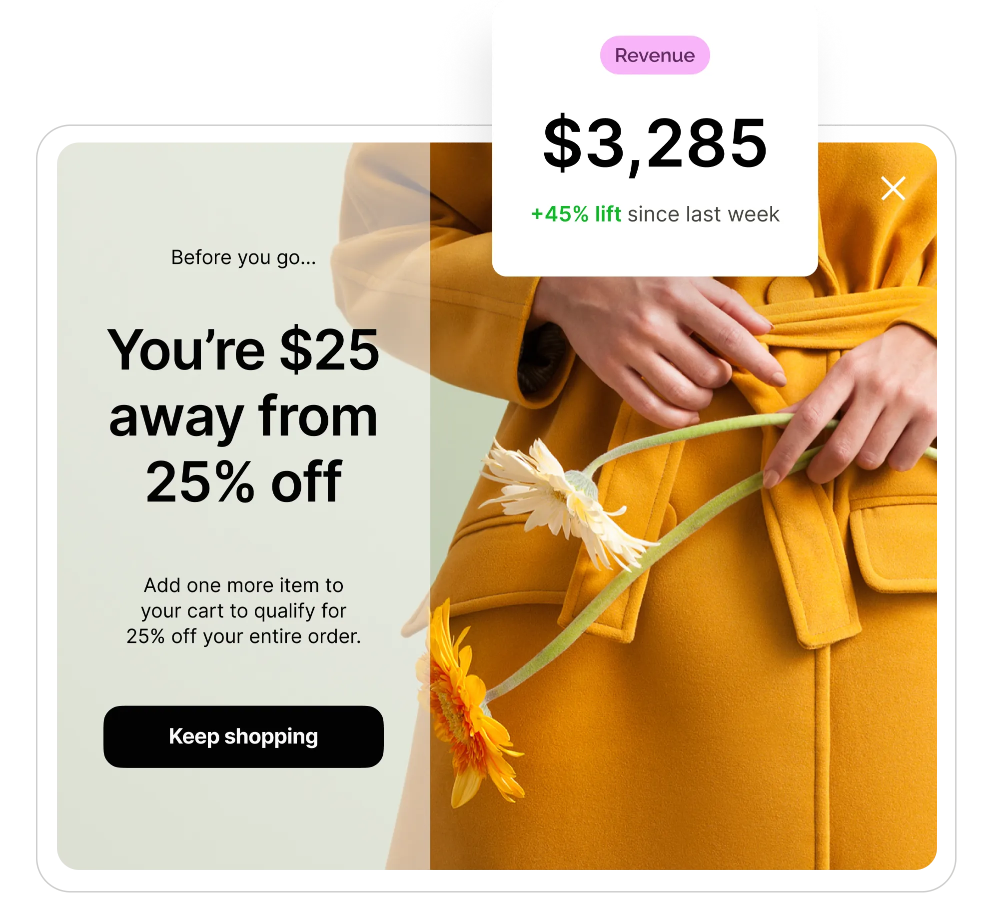 exit popup page hero