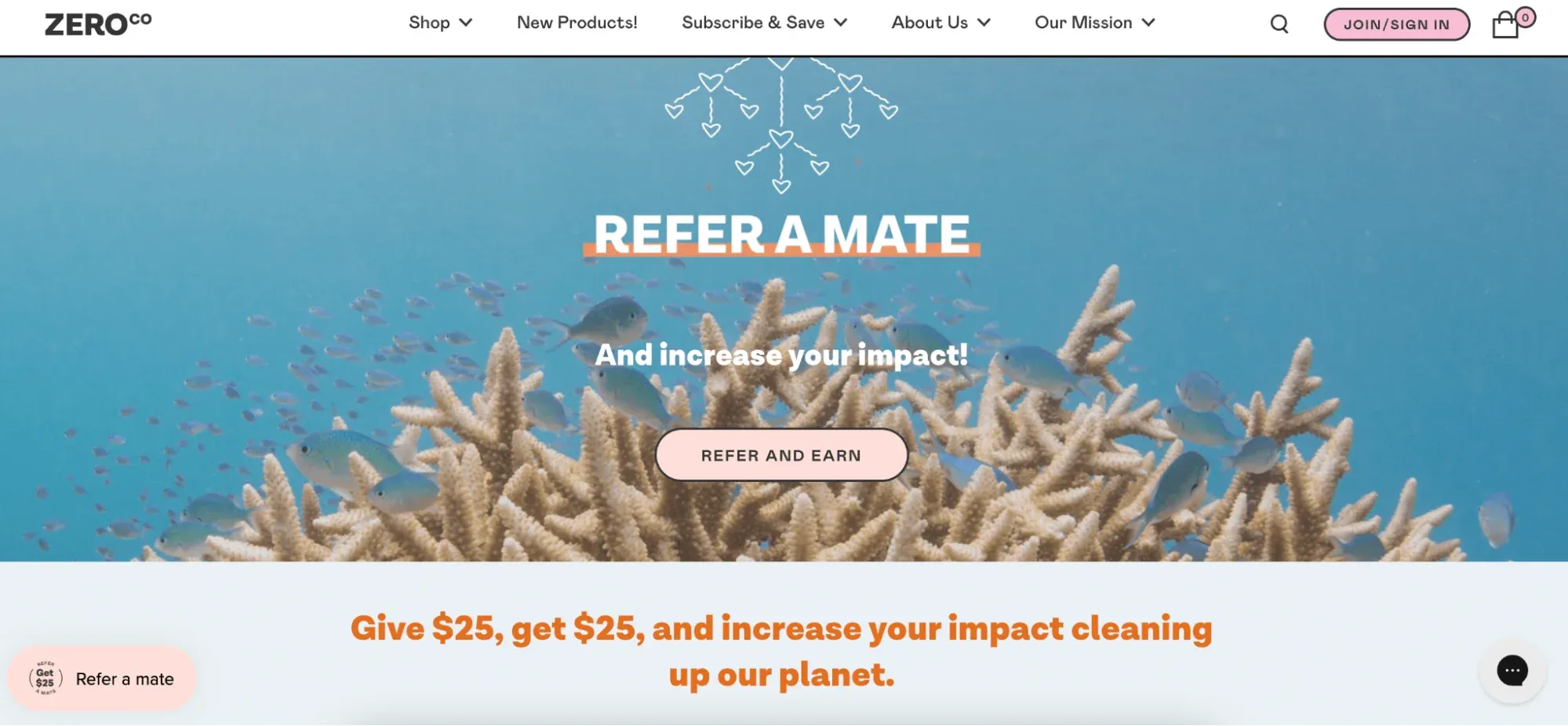 referral program example