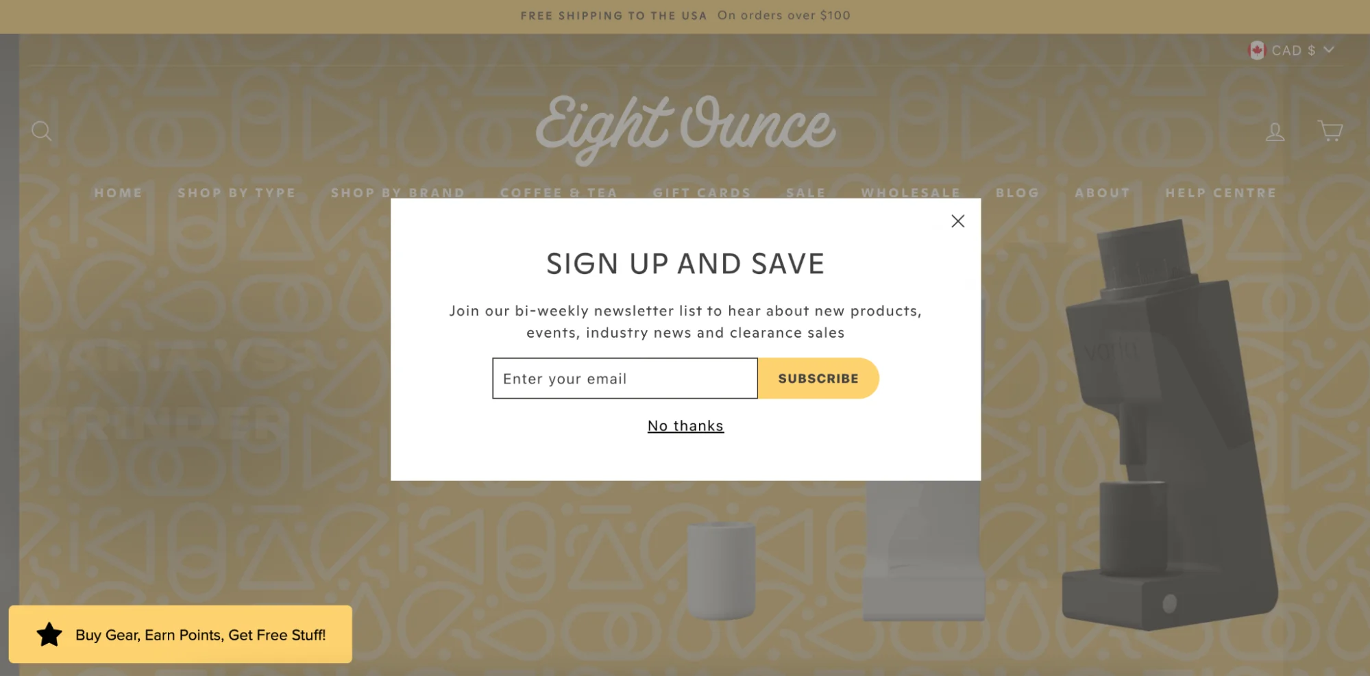 homepage website popup example