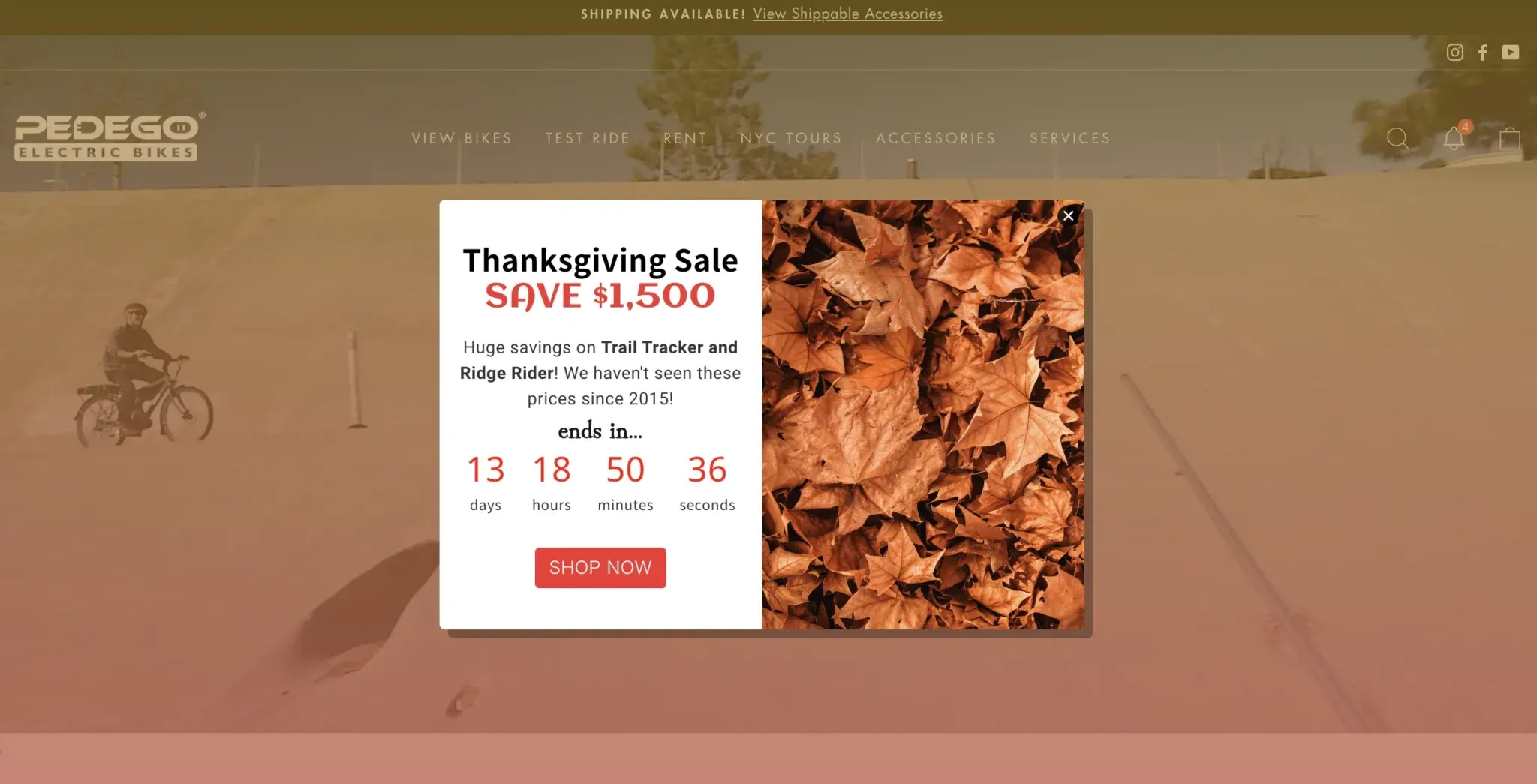 thanksgiving popup