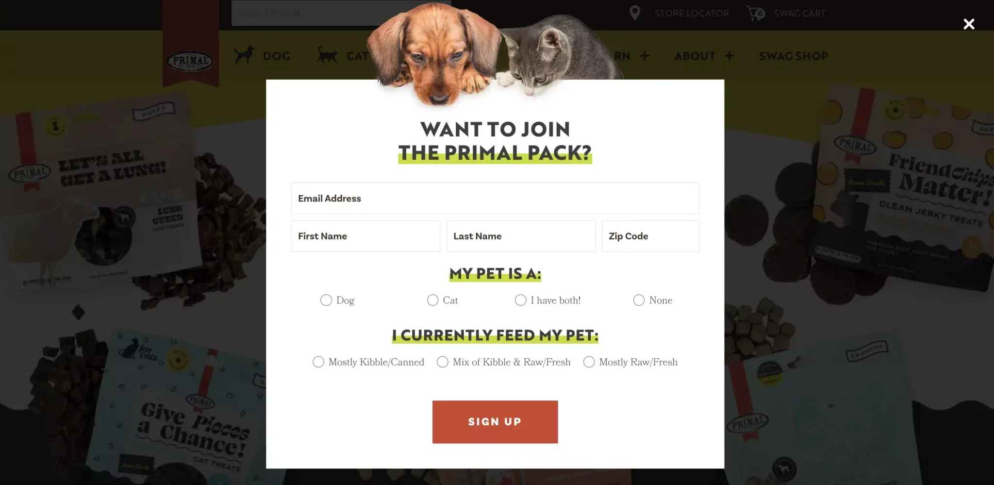 discount popup example from primal pack