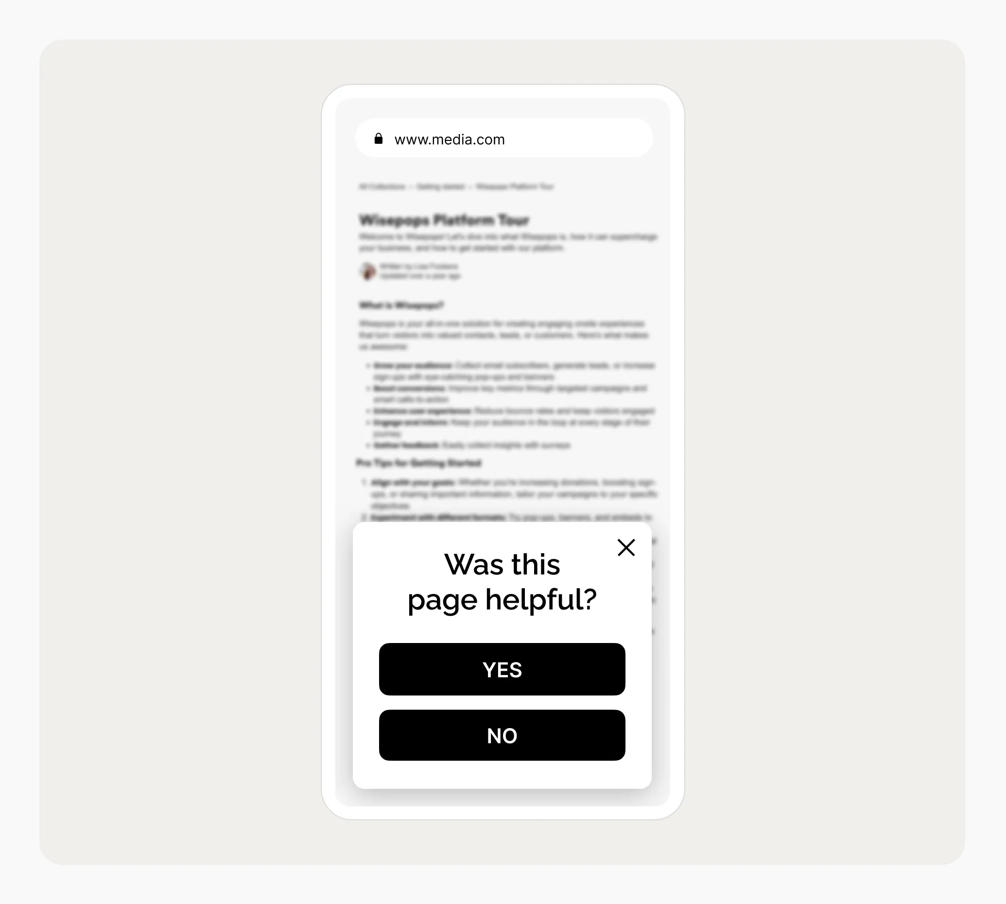 Product feedback widget