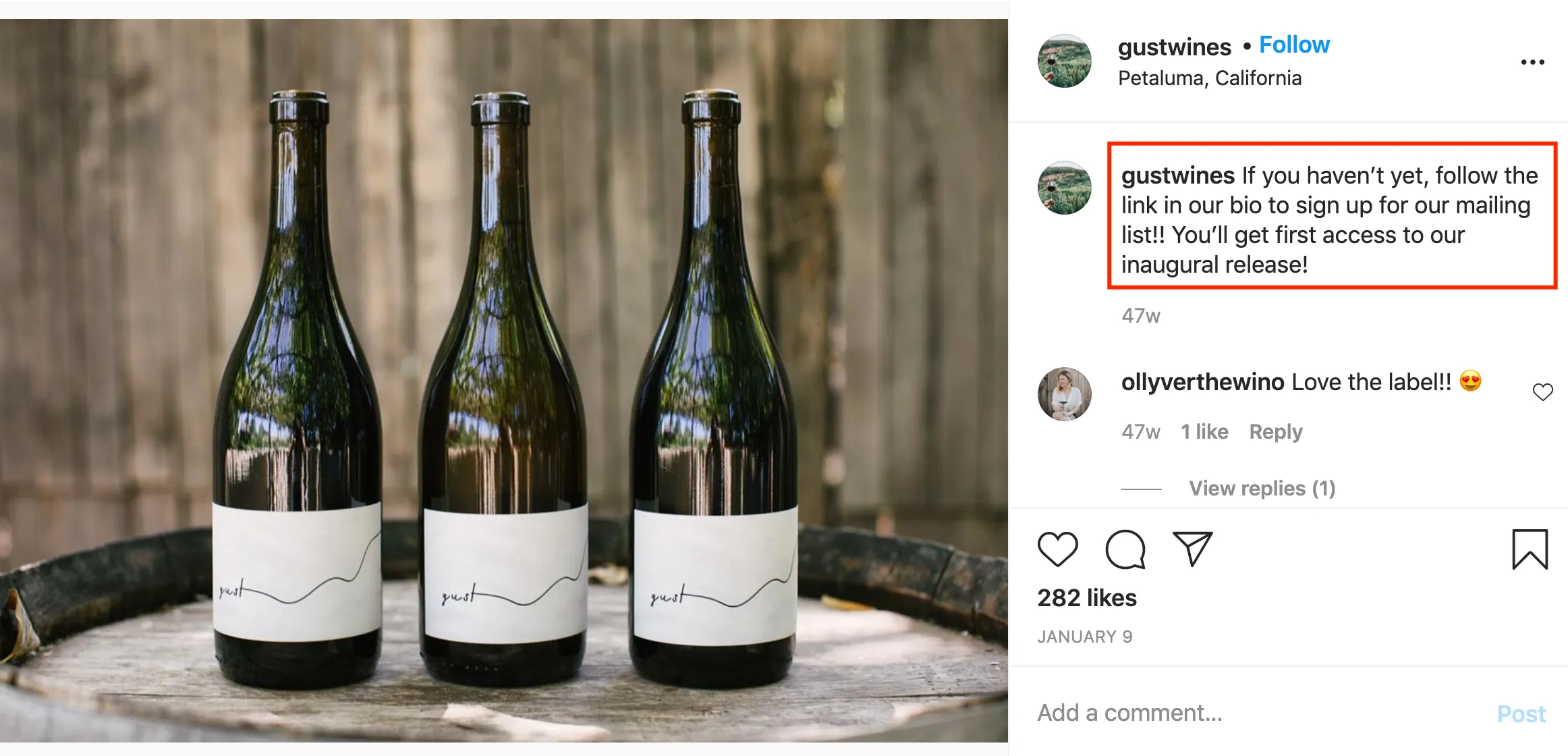 social media promotion