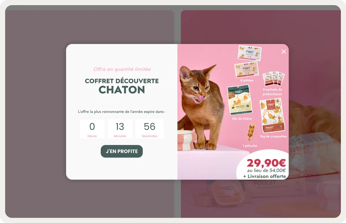 Ziggy discovery-kit popup with free delivery and a countdown