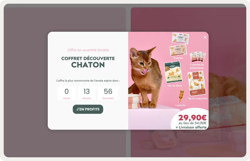 Ziggy discovery-kit popup with free delivery and a countdown