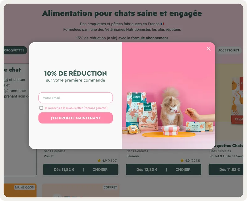 Ziggy French-language email capture popup with a first-order discount