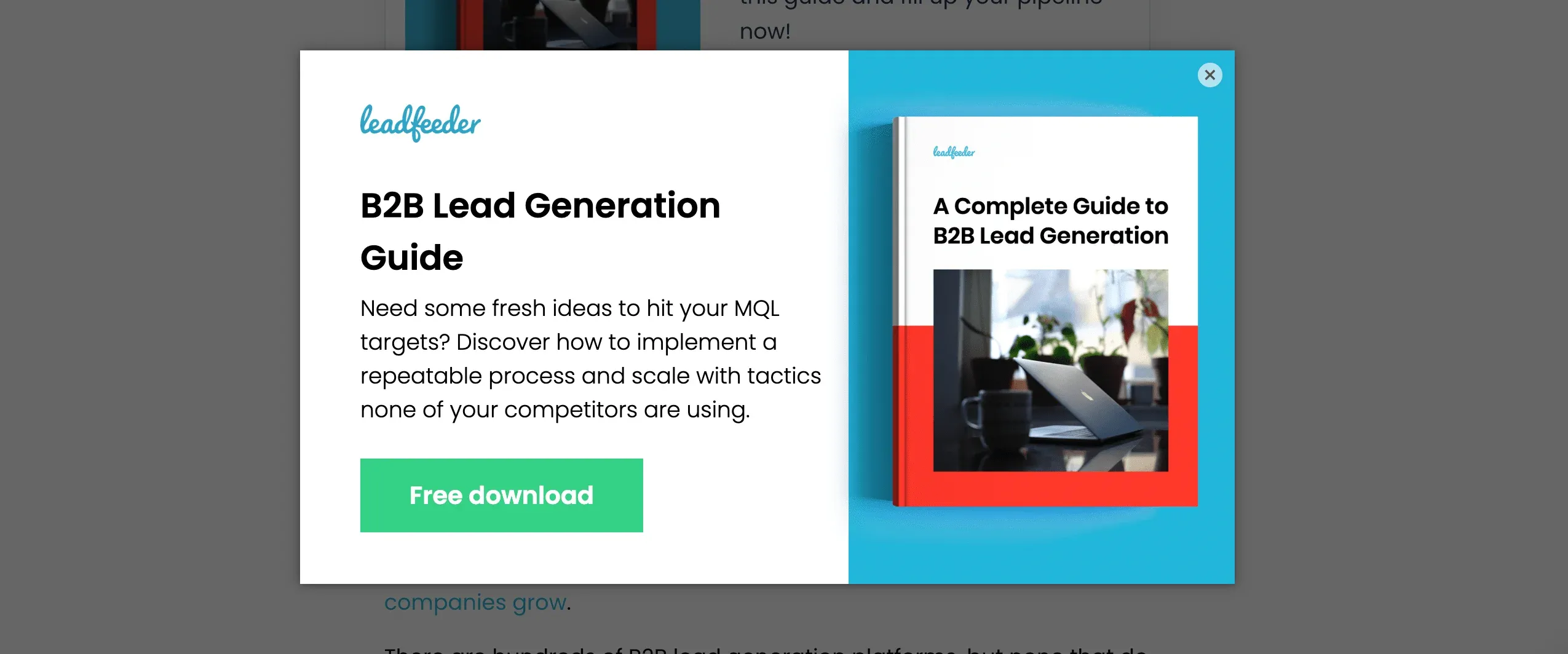 b2b popup with lead magnet