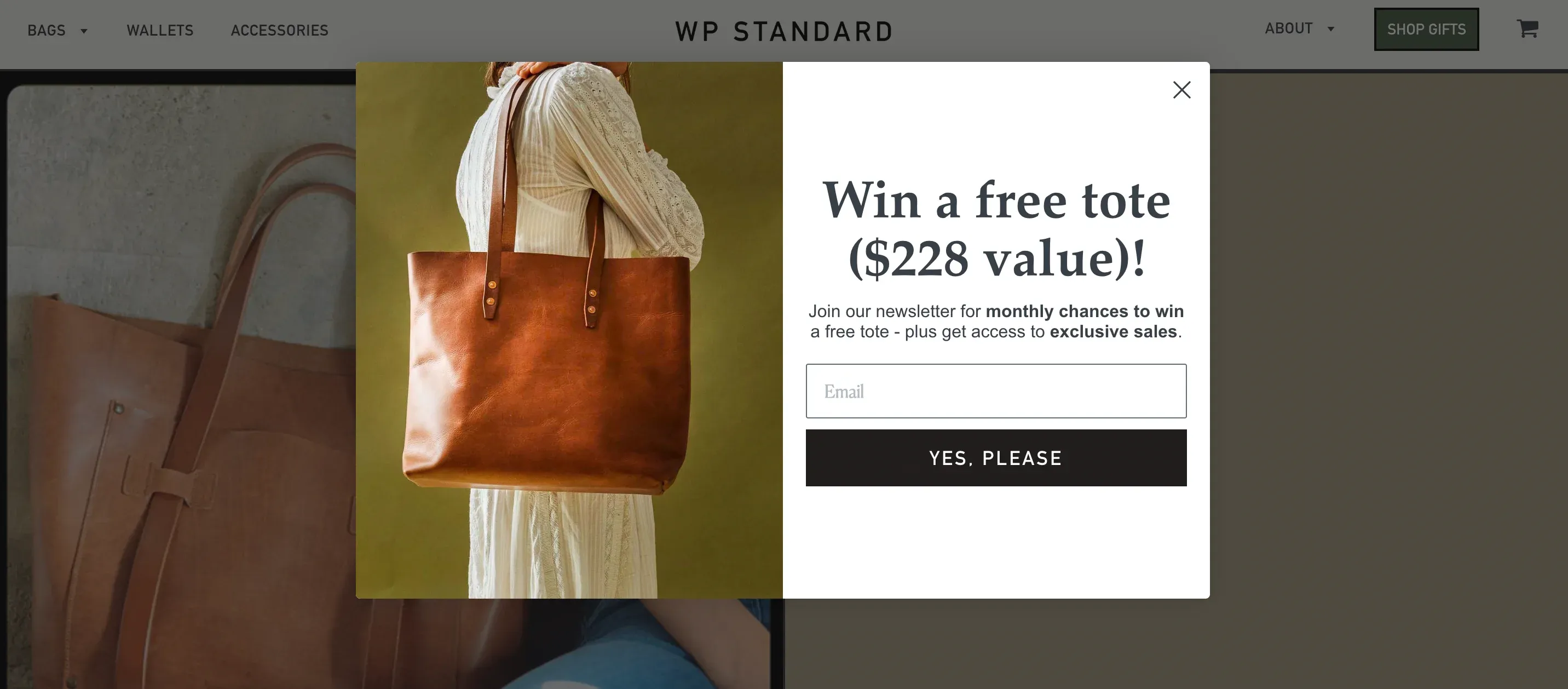 product giveaway for email list building